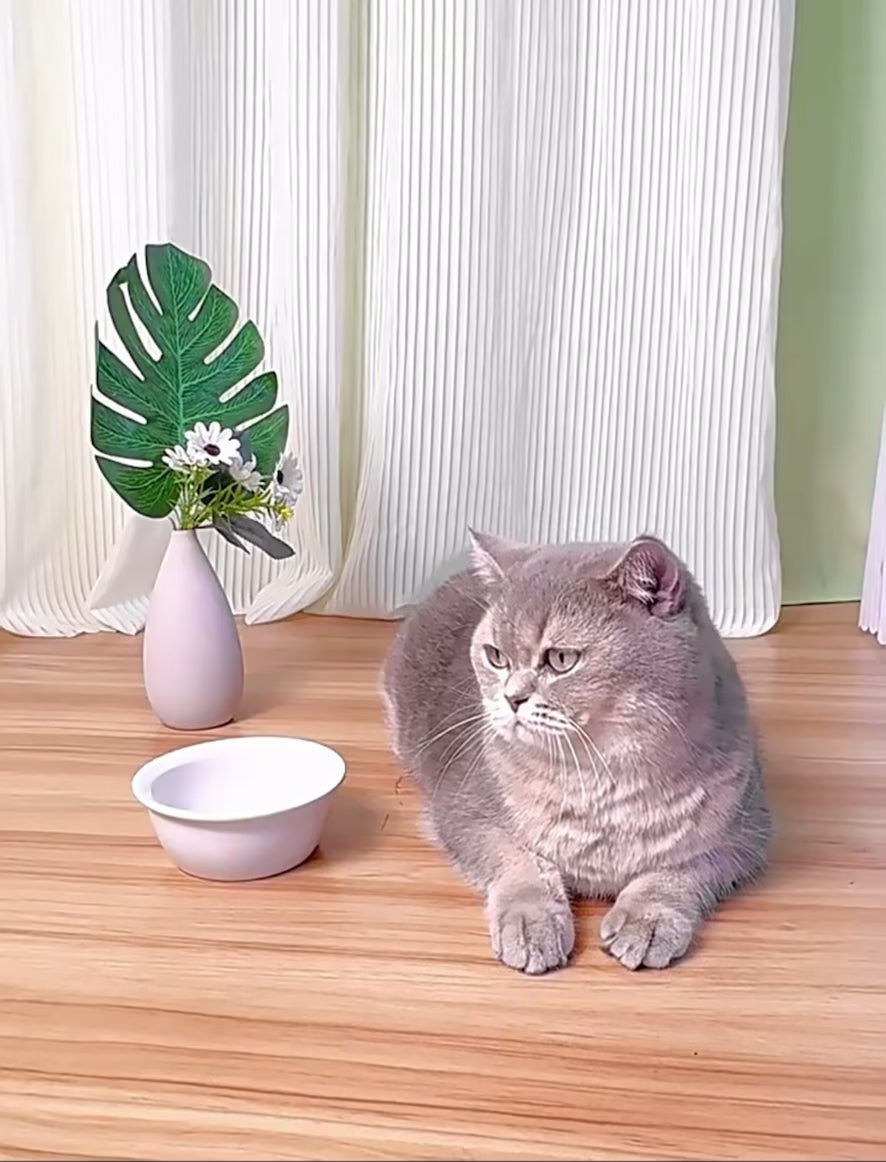 Automatic Pet Feeder